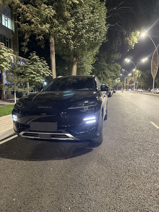 BYD song plus champion