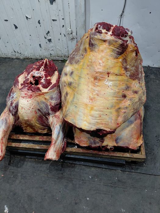 Оптом мясо говядины тушами оптом