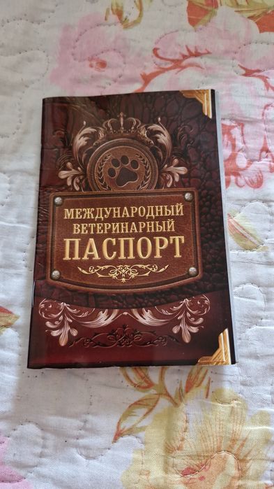Продам котёнка породистого