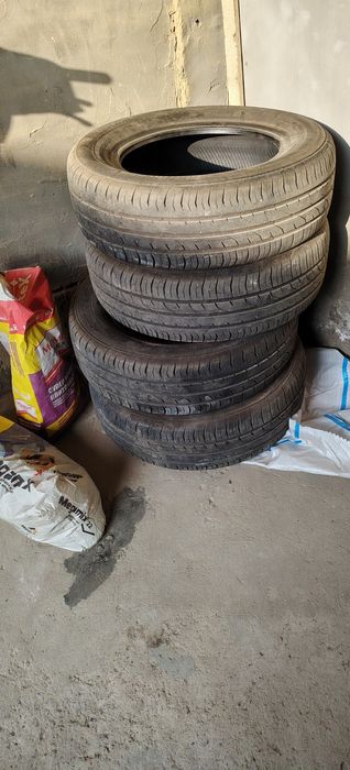 Bu balon 15razmerli continental