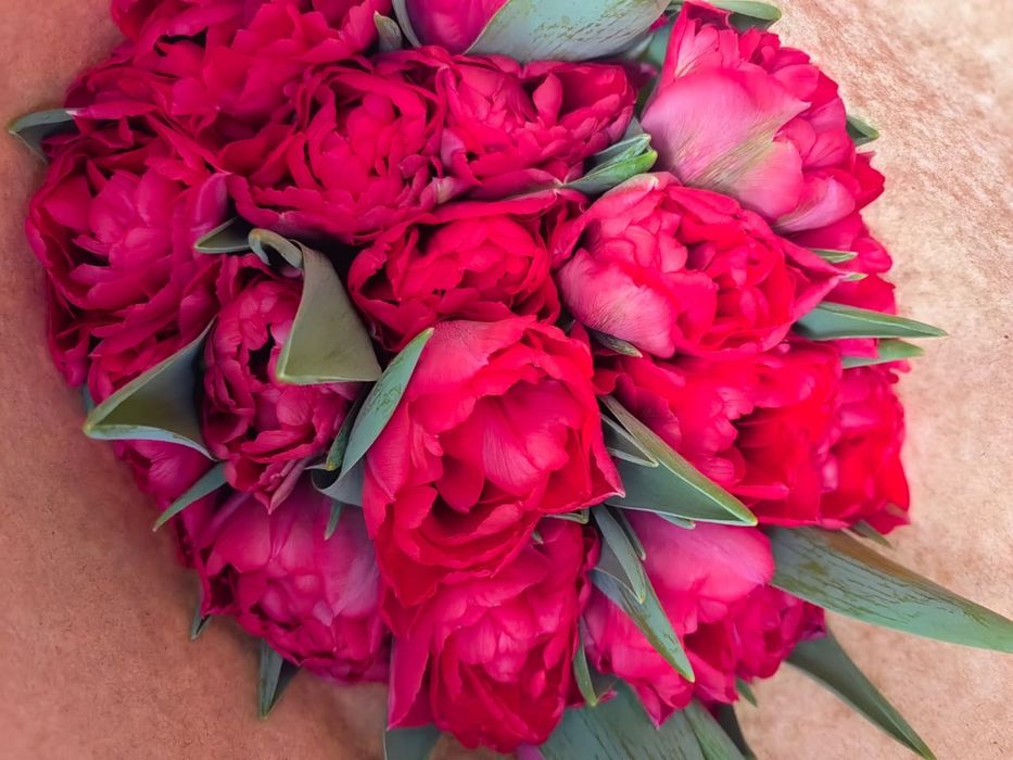 Цветы тюльпаны оптом голоандские