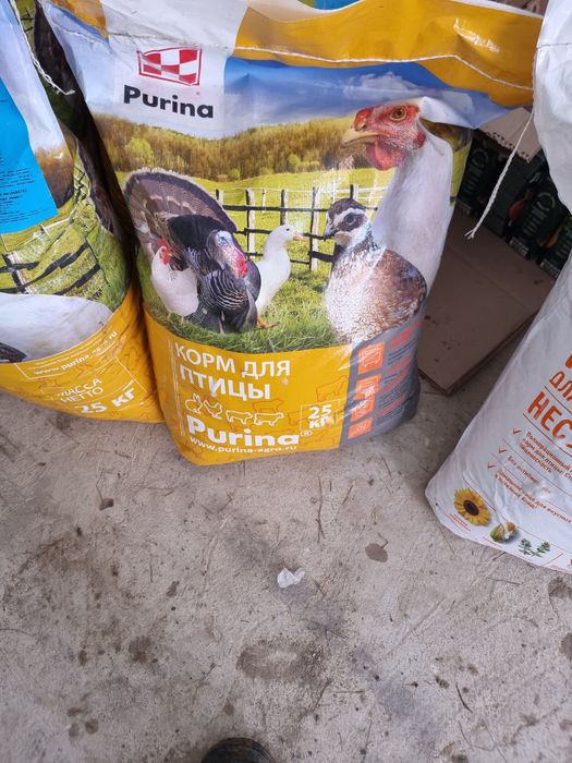 Пурина Корм для Птиц