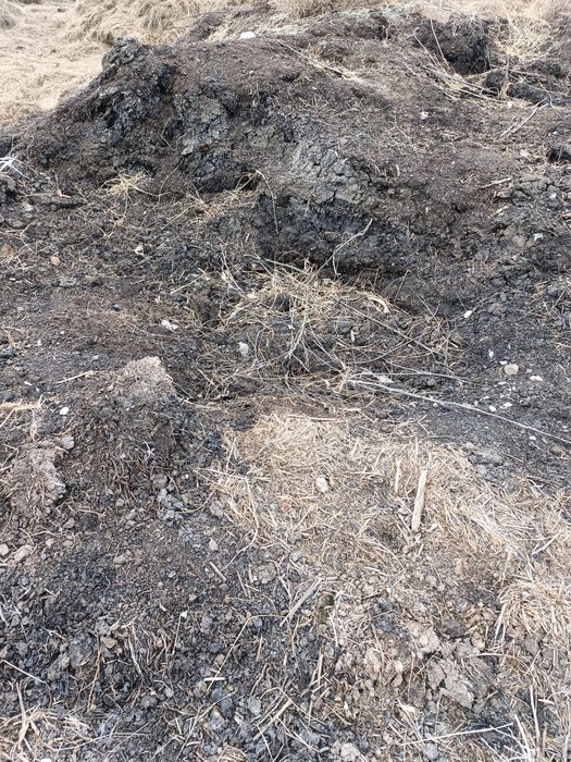 Перегной. Бесплатно. Самовывоз.