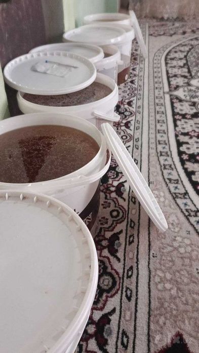 Tabiiy vodiy asali optom narxda, 20 kg chelak