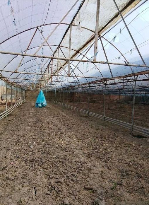 Описание
Участка сотилади адрес Самарканд шахар Чортут маххплласида