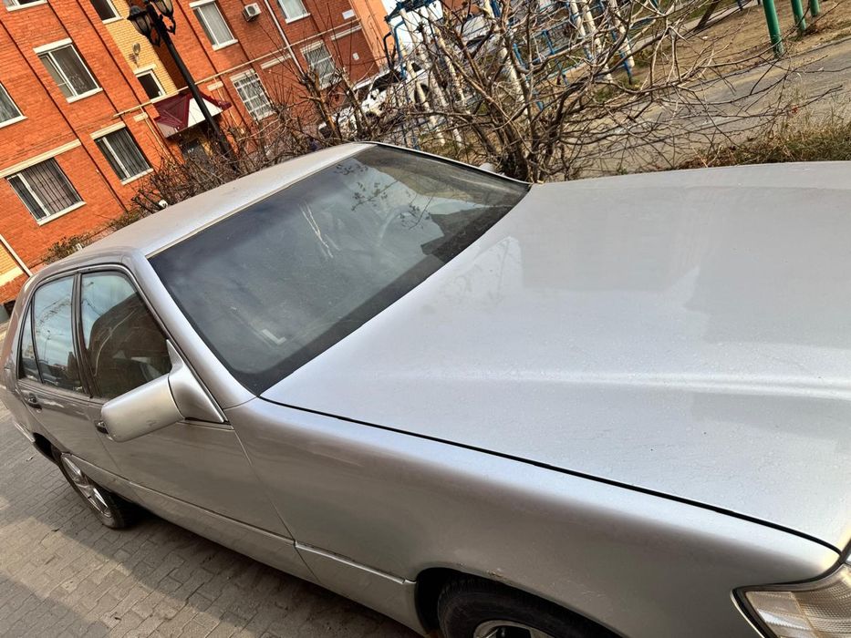 Продам кабана тогр