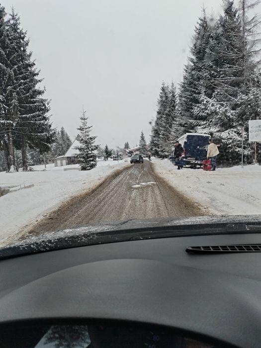 Cedez concesiune stațiunea muntele Băișorii