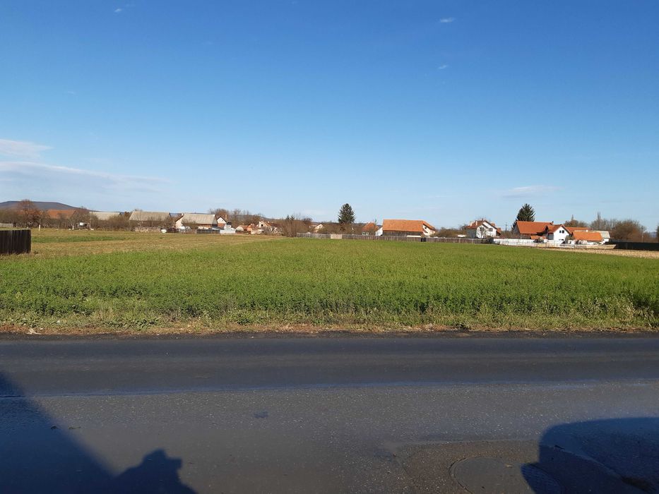 Vand teren intravilan,  5000 mp  20 euro/mp,  construibil utilitati la strada asfaltata zona rezidentiala  Lunca Calnicului