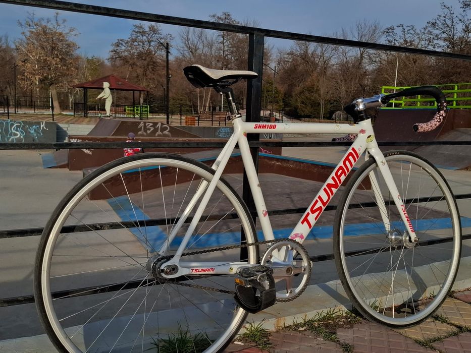 Фикус Тсунами снм 100