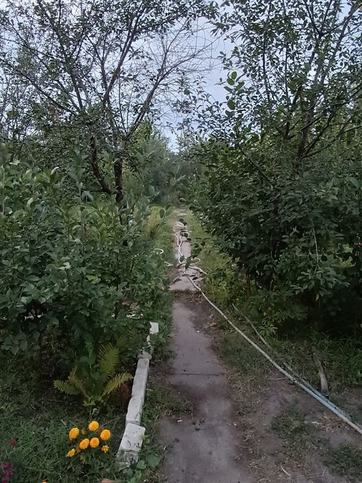 Срочно продажа дачи