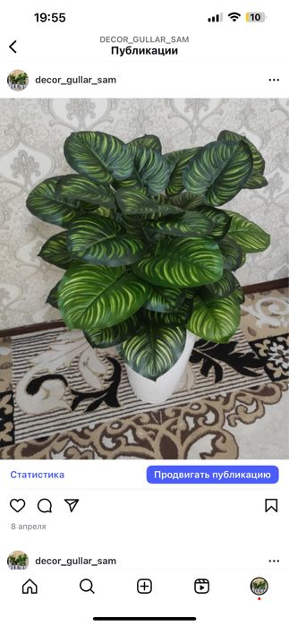 decor gullar sotiladi