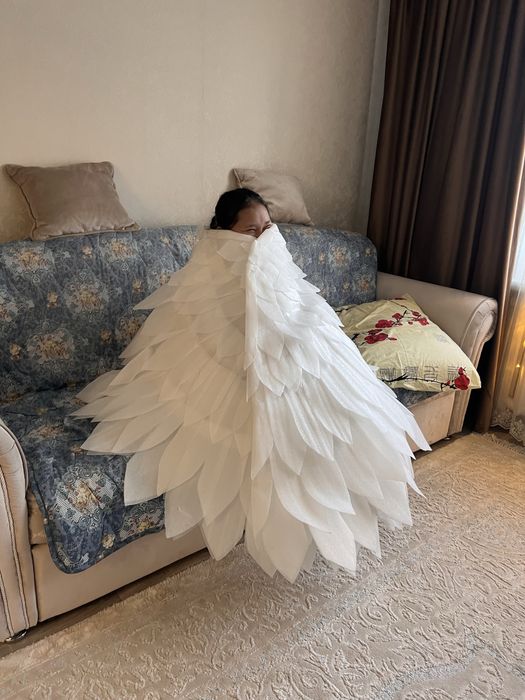 Продаются крылья