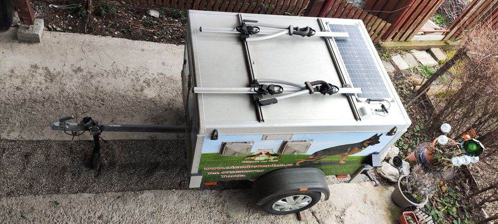 Remorca transport caini