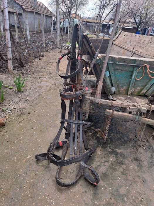 Vând cal iapă  11 ani  și căruță cu ham iapă ascultătoare și cuminte.