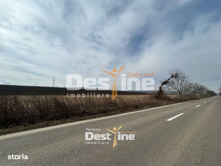 Teren de vanzare Caciulesti 11.000Euro 1300mp