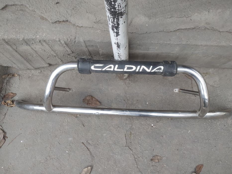 Кeнгурятник (Caldina)