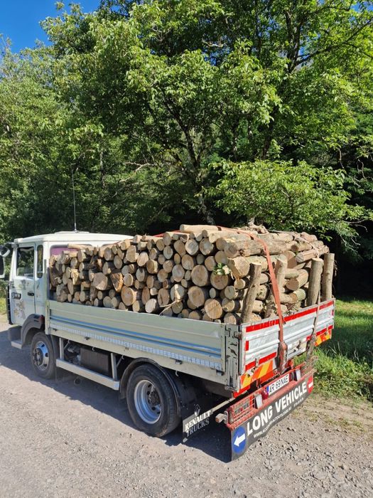 Lemne de foc esenta tare