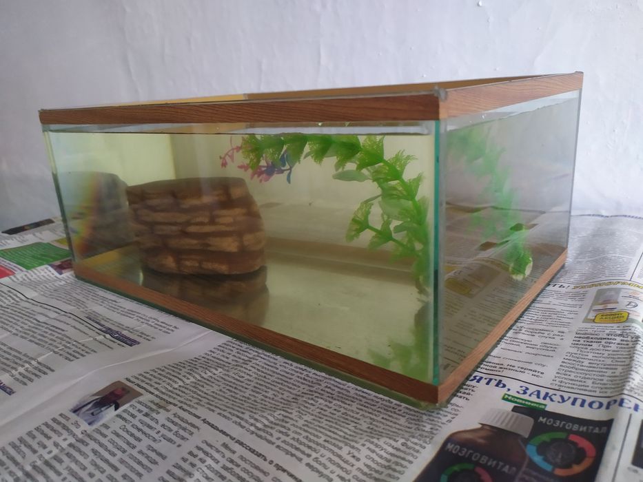 Аквариум для черепах. Бонусы.