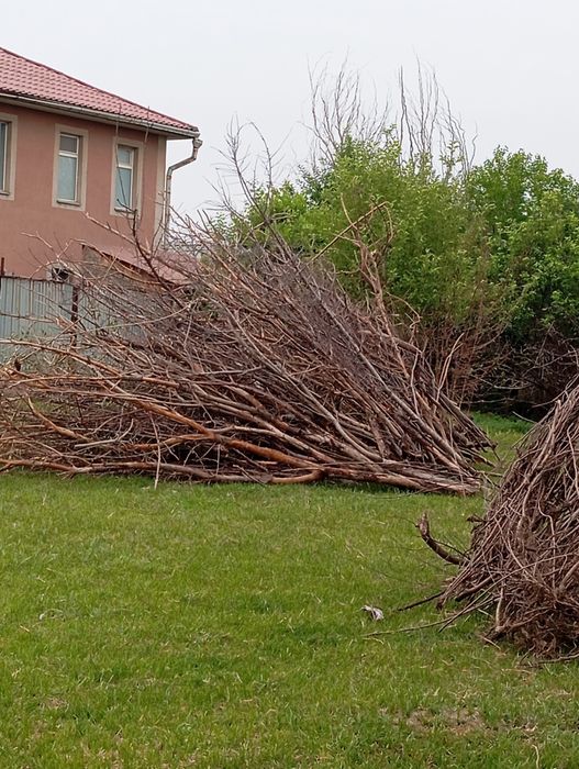 Дрова сухие яблоня вишня
