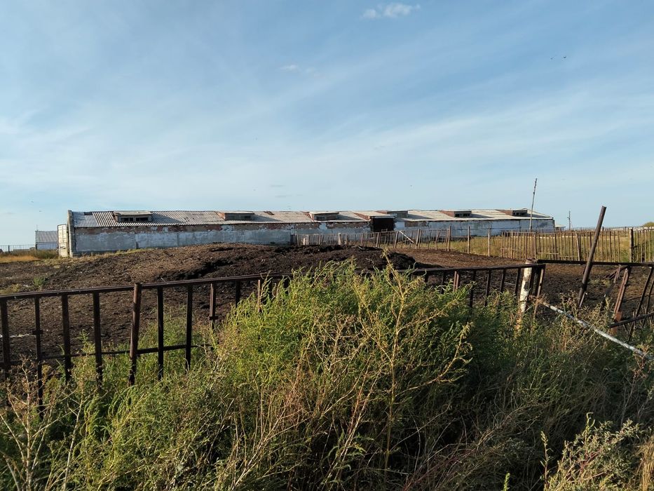 Продам ферму с.Никитинка, Мендыкаринский район.