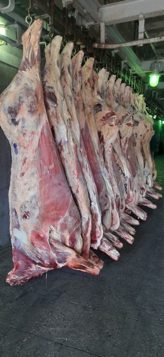 Мясо говядины оптом