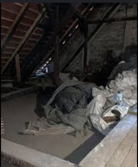 Facem curățenie la poduri de bloc