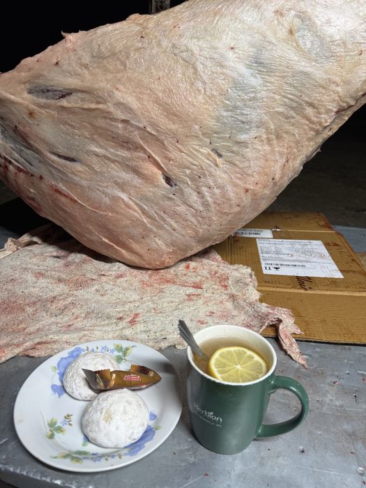 жылқы еті, конина, жілік, соғым