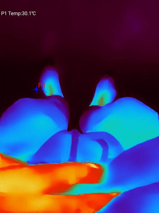 Thermal master P1 термо камера