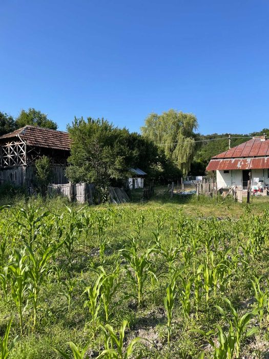 Vand Casa + teren 12.000 mp in Cernisoara, sat Modoia, Valcea