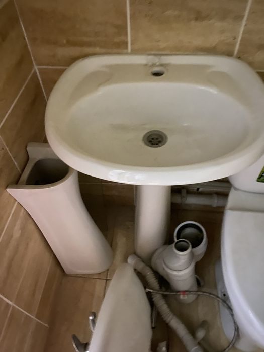 Продам тюлпаны и унитаз