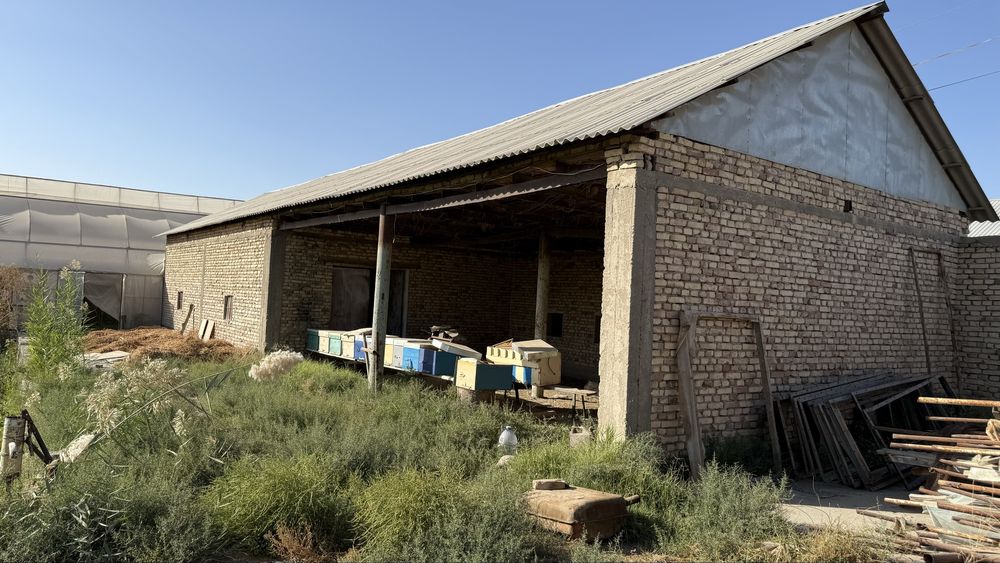 50 sotix uchaska sotiladi