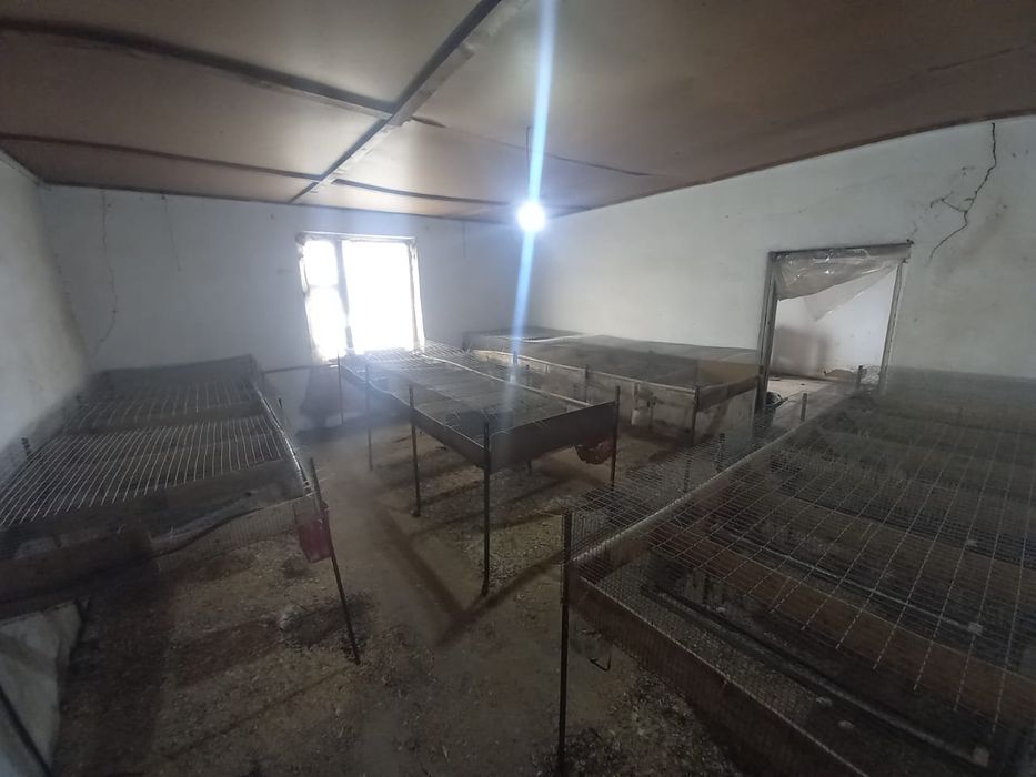 Клетки для перепелки бодене