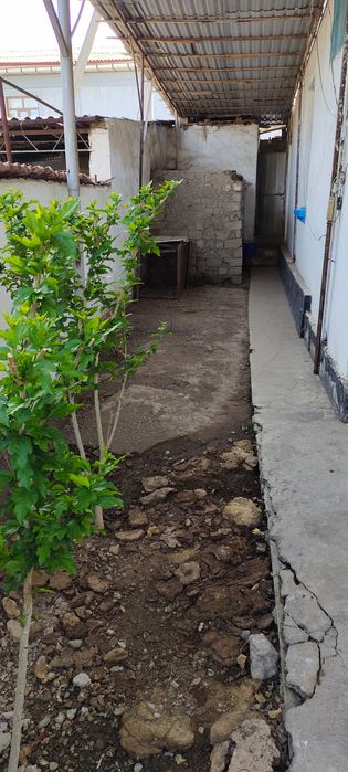 Ховли сотилади 5.2 сотих