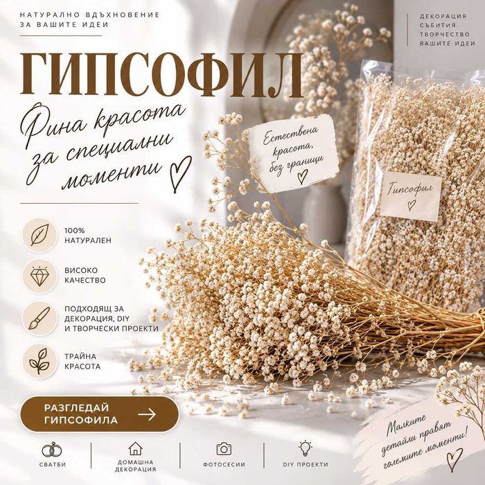 Суха гипсофила. 5.30€
