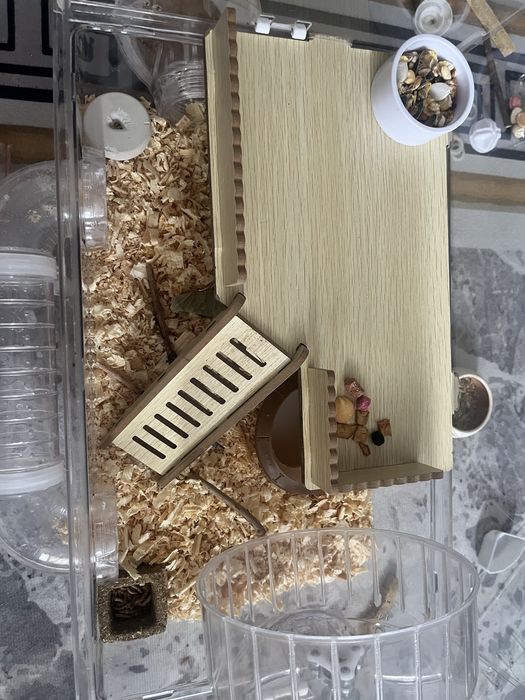 Продам хомяка вместе с клеткой