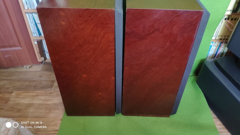 Акустика Otto SX-P2