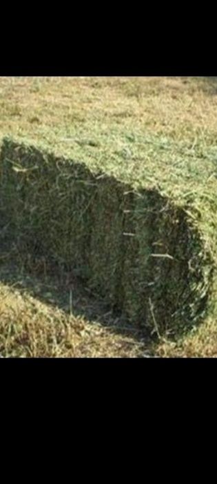 Беда 2 урим 90 талик