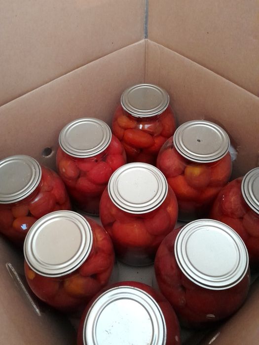 Помидоры консервированные. Дачные.