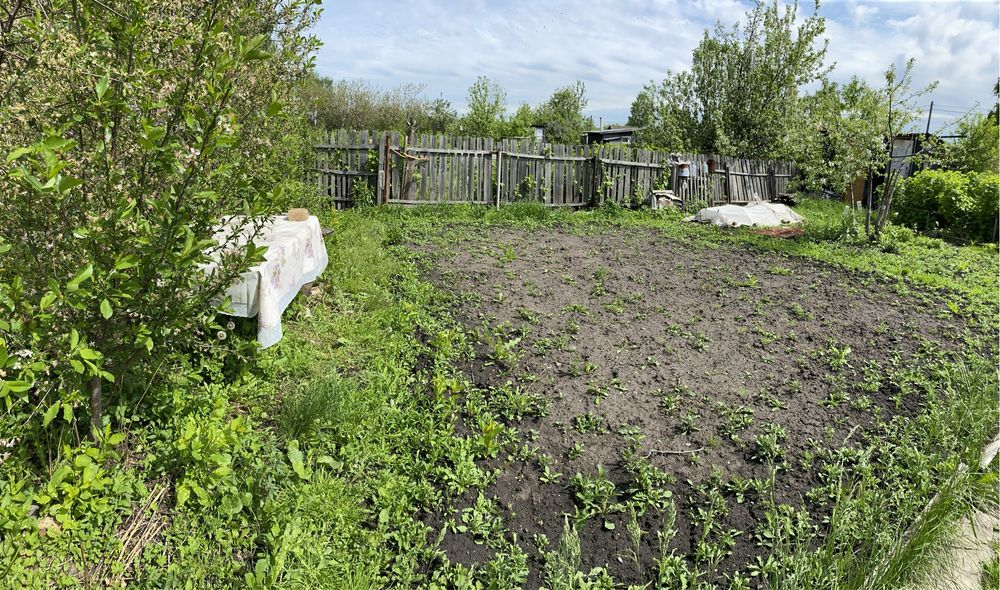 Дача в кооперативе Борки