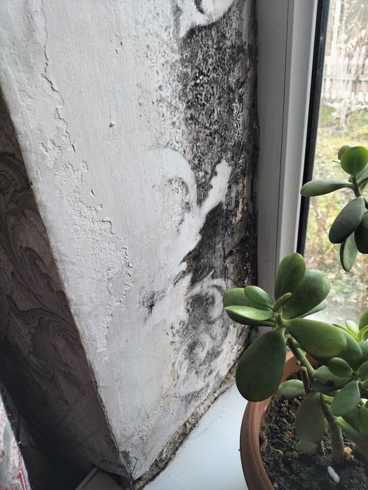 Вентиляция Таза ауа