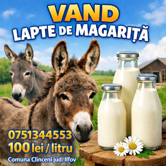 Vand lapte de magarita, 100% natural