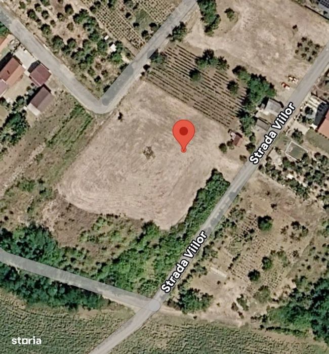Teren cu pomi fructiferi , vie si loc de casa
