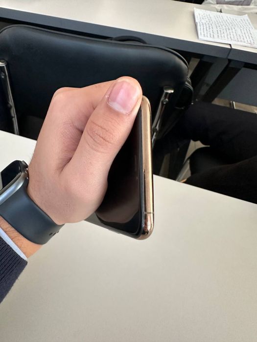 Xs max garantiya gold