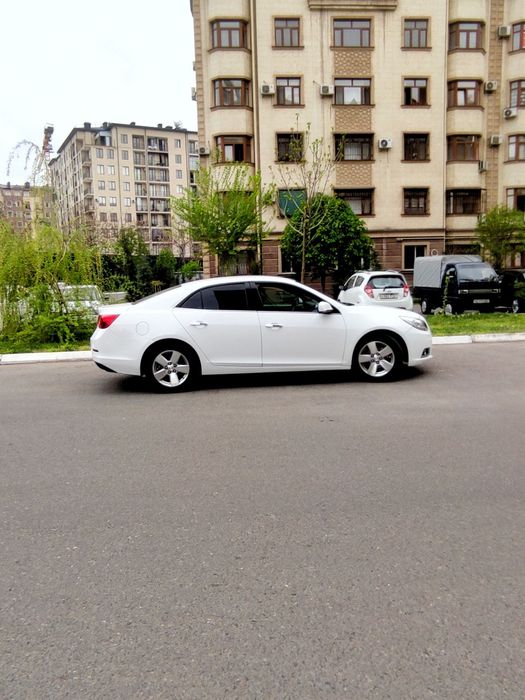 Malibu 1 Малибу Malibu