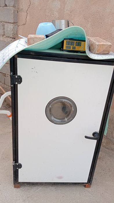 500 талик Автомат Инкубатор сотилади