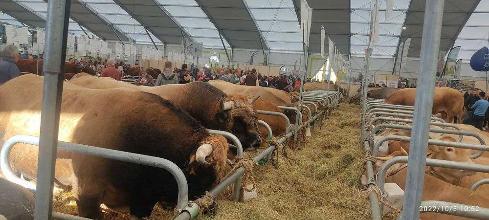 Бизнес-туры на ведущие европейские выставки, оформление (ЕС)