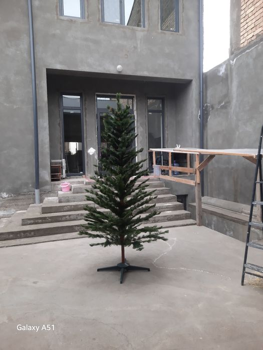 Елка продается оригинал