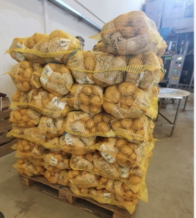 Vând cartofi soi carrera si amazon