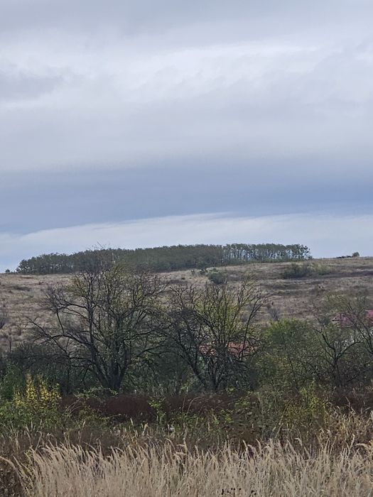 Vand 3Ha teren extravilan dealul viilor Lugoj Langa Pensiunea Lois
