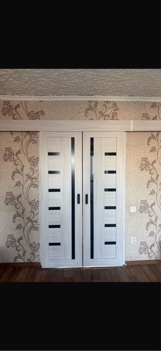 дверь купе без нижней шосси